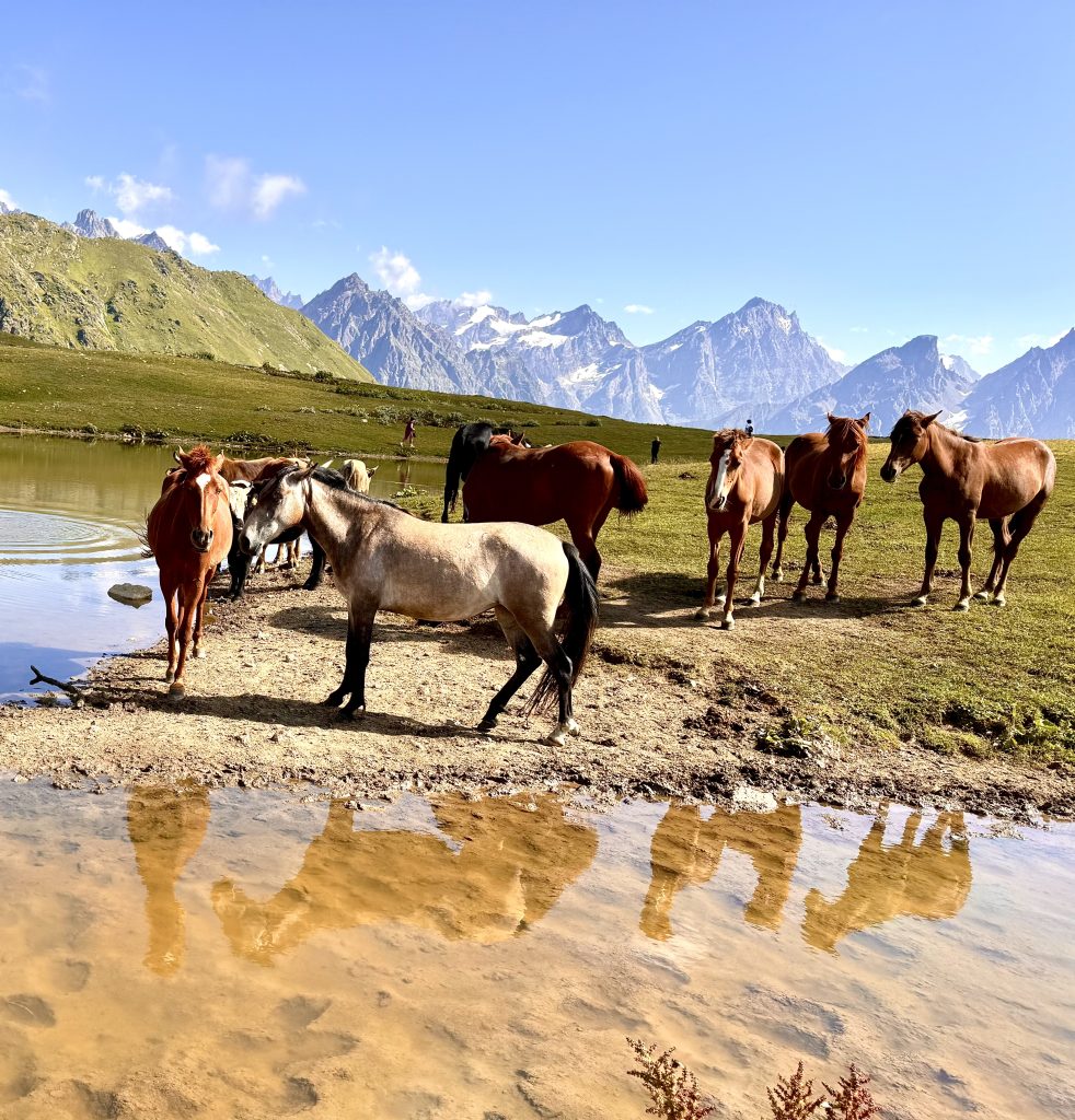 Randonnée à cheval. Svanetie