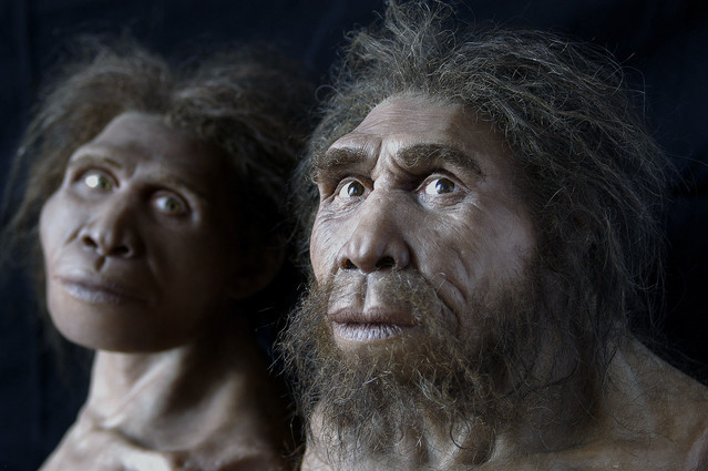 Zezva et Mzia sont des noms conventionnels donnés par les scientifiques aux plus anciens humains découverts en Géorgie, sur le site archéologique de Dmanisi (Homo erectus georgicus).