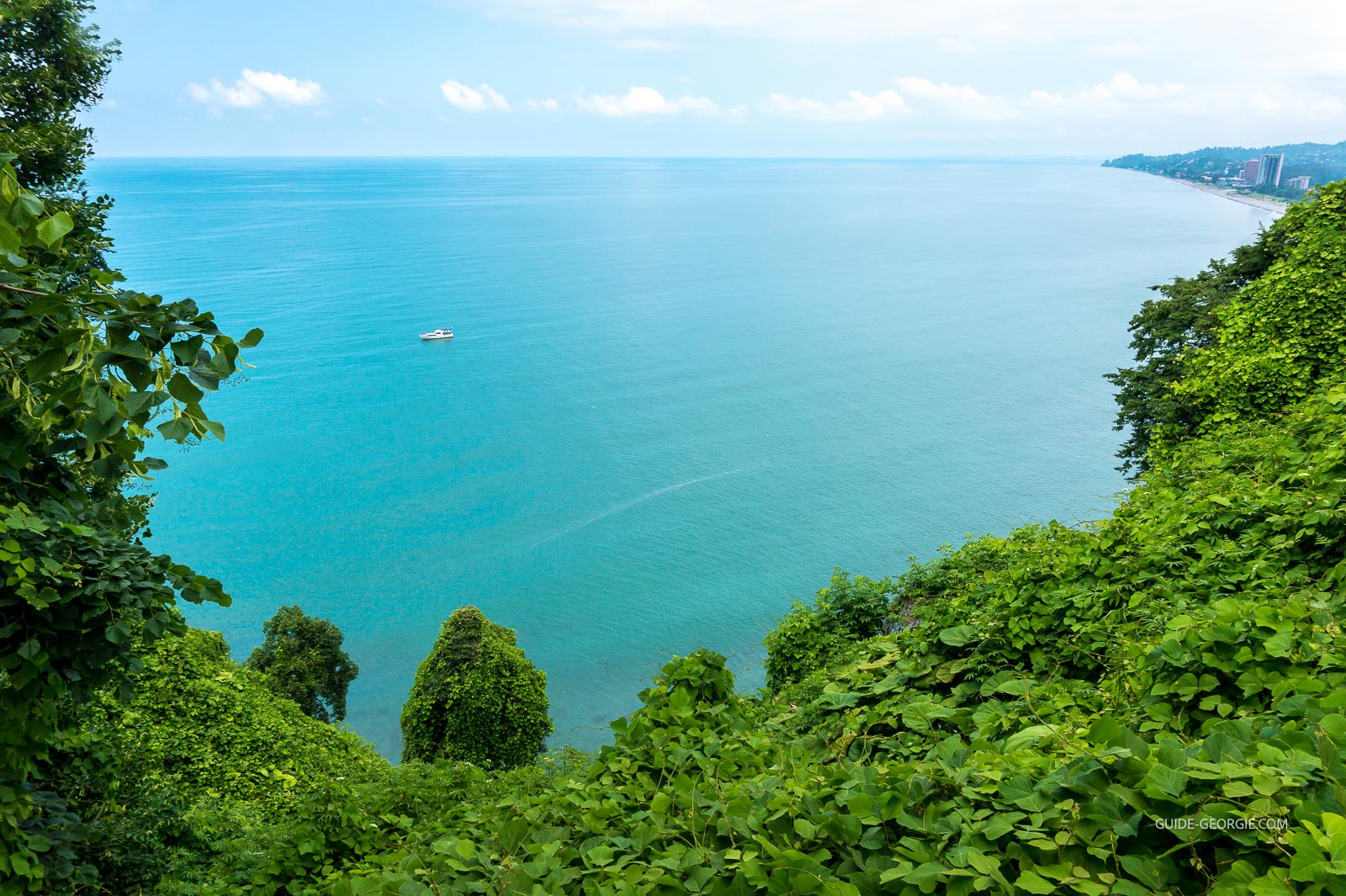 Vue de la côte avec une voile yacht solitaire et une forêt verte depuis un jardin botanique, mer turquoise, ciel dégagé