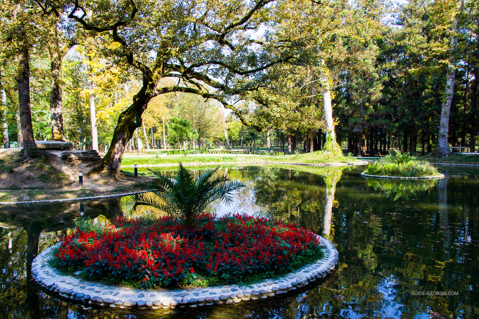 Étang tranquille entouré d'arbres et de végétation dans un jardin botanique, eau réfléchissant le ciel ensoleillé