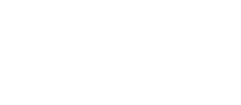Logo Guide Georgie
