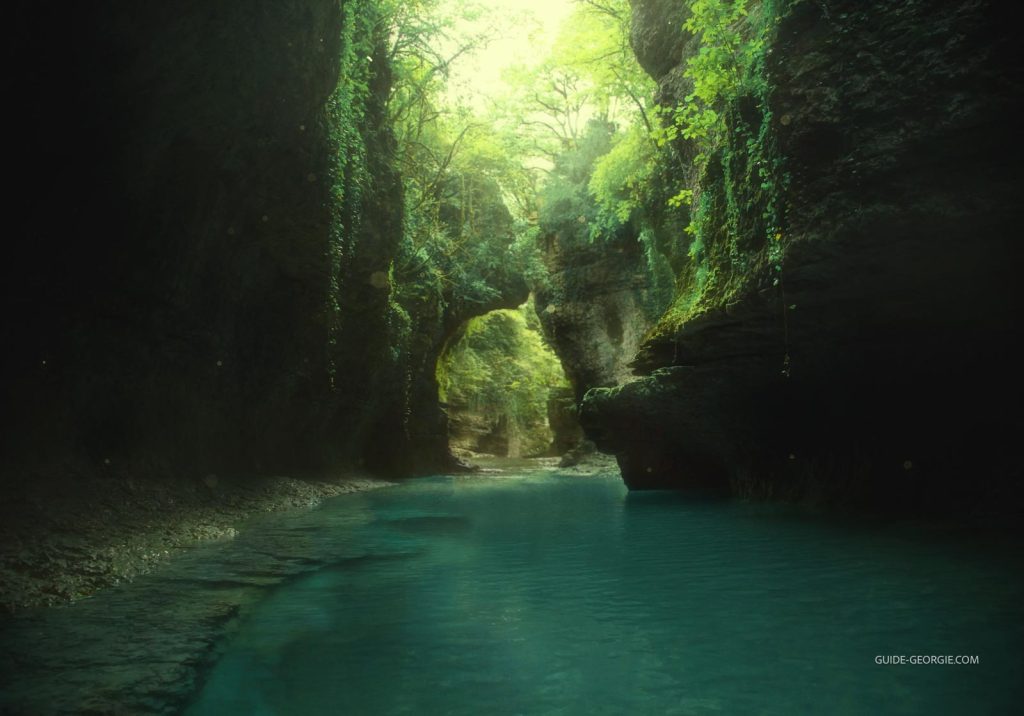 Falaises couvertes de vignes tombant vers une eau bleue d'un canyon en milieu naturel